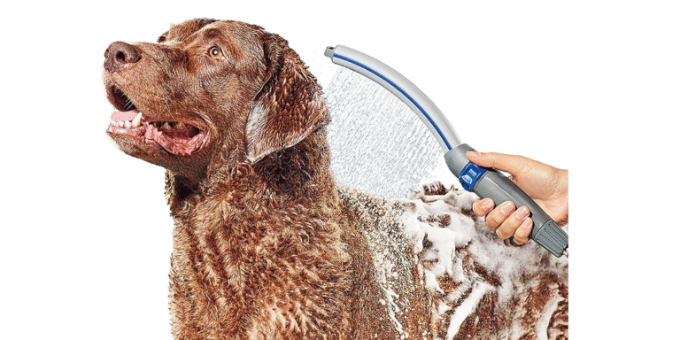 Untitled design 5 LoveThePet