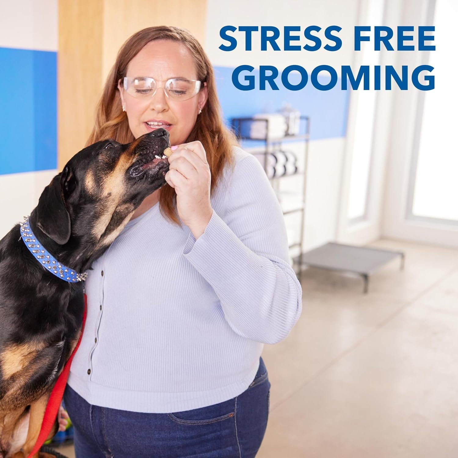 Pet Grooming