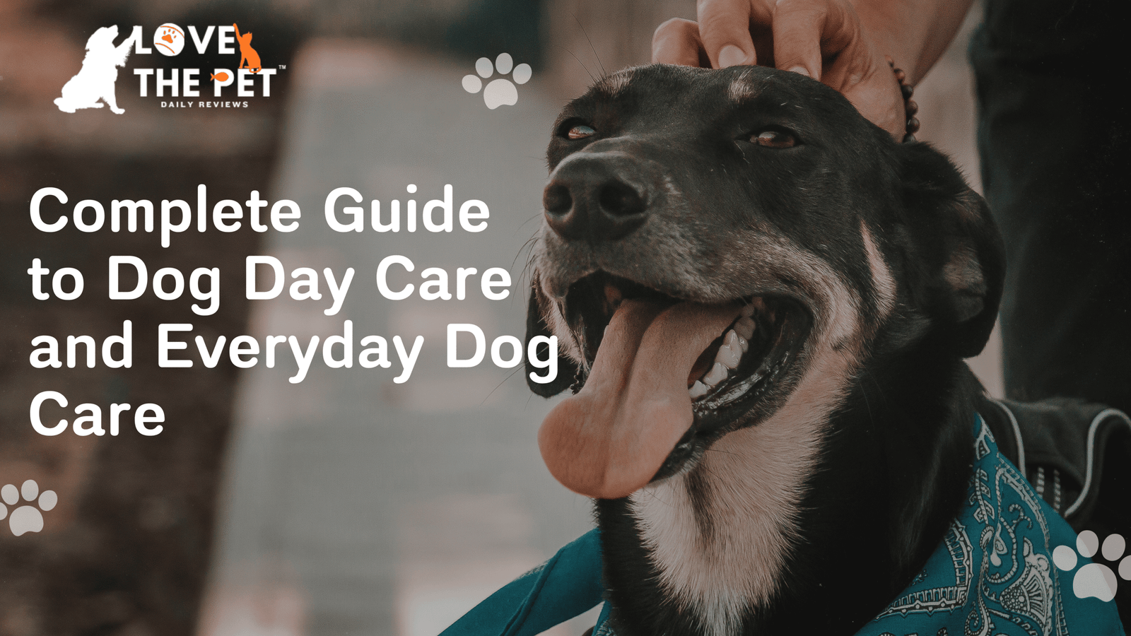 Complete Guide to Dog Day Care and Everyday Dog Care: Find Local Services, Feed Right, and Handle Emergencies 1 Complete Guide to Dog Day Care and Everyday Dog Care