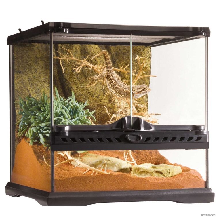 reptile Terrarium