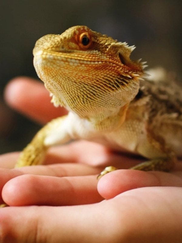 Untitled design Untitled design